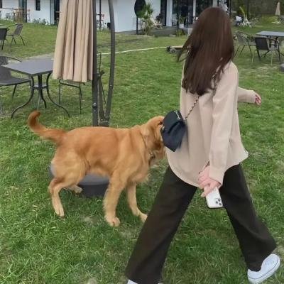 罗龙镇女人