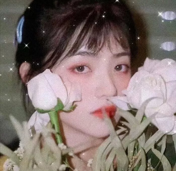 好人李司法